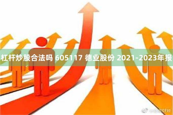 杠杆炒股合法吗 605117 德业股份 2021-2023年报